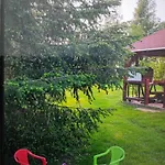 Gesztenye *