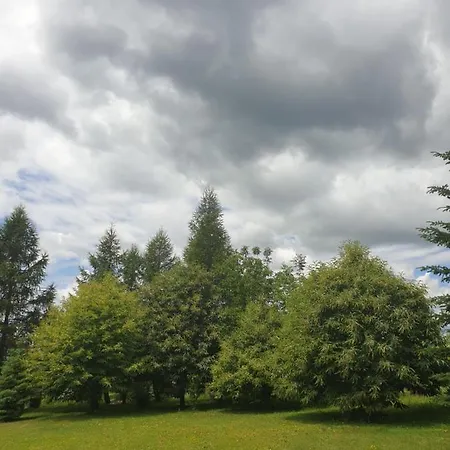 Gesztenye Apartamento