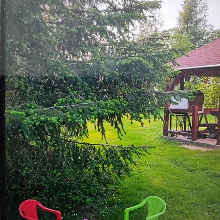 Gesztenye *